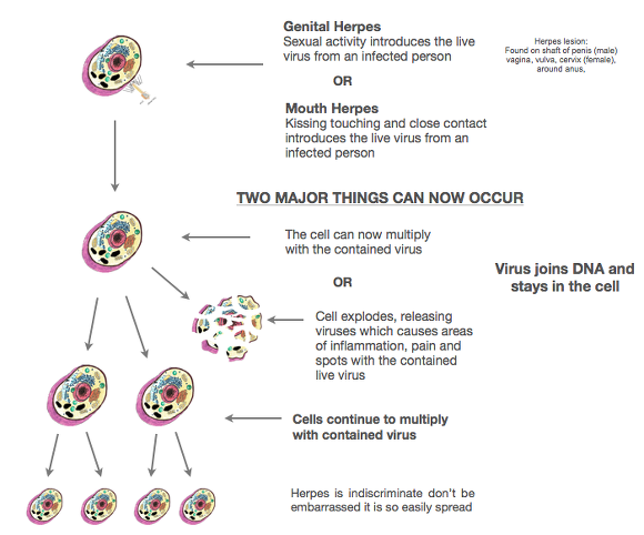 what-is-2pm-edt-in-london-02-ed-68-virus-symptoms-bone-edema