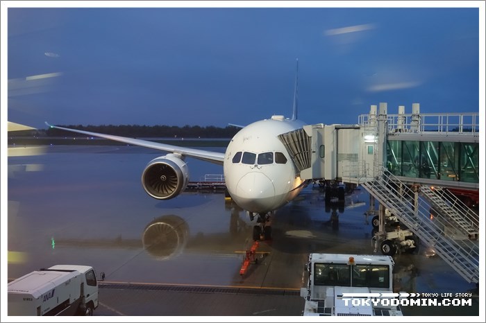 하코다테 → 도쿄 (하네다) NH558(ANA558)편 B787기종의 이용기
